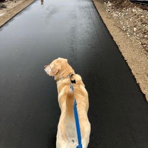 Meet your Posher, Mark